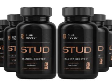 Clubhouse Stud Review