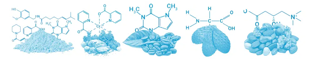 PhenQ Ingredients