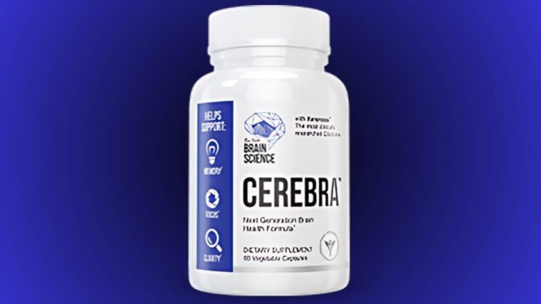 Boston Brain Science Cerebra Review