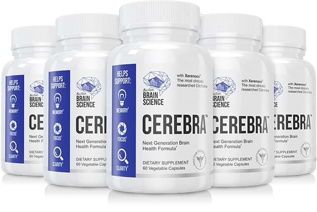 Cerebra Review