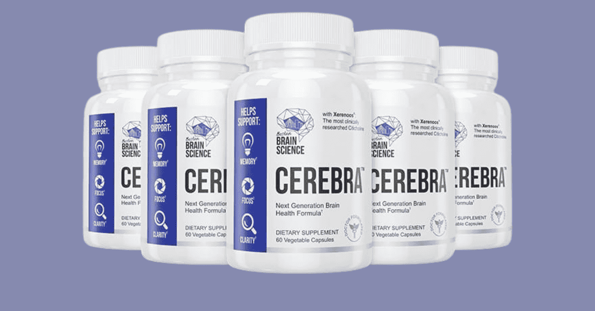 Cerebra Review